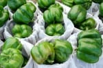 Green Bell Peppers