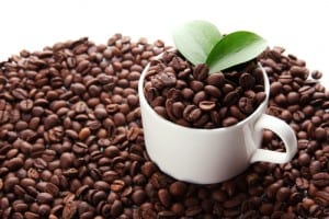California Coffee Industry