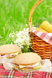 Food picnic basket with apples bananas and sandwiches