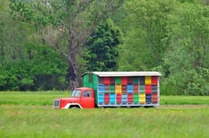 bee hives on truck