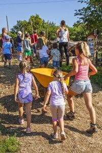 Summer camp for children on a farm, the children in various situations. farm camp