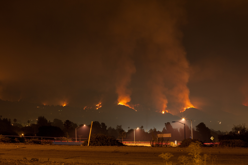 wildfire relief