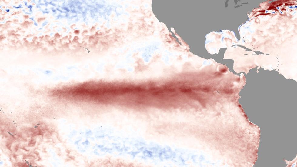 Sea-surface temperature anomalies in early Feb. 2016. The strong El Niño is shown by the tongue of red warmer-than-average sea-surface temperatures in the equatorial Pacific Ocean. (NOAA) El Niño