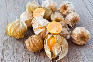 Cape gooseberry (Physalis)