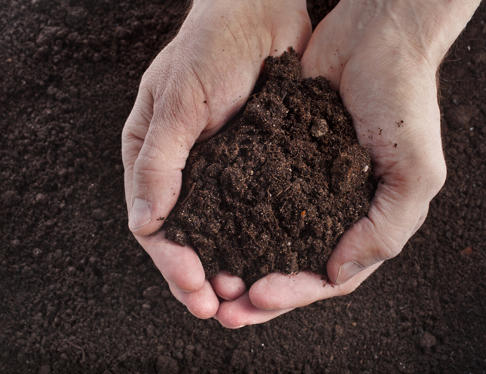 regenerative agriculture