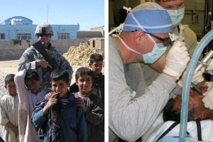 veterans viticulture