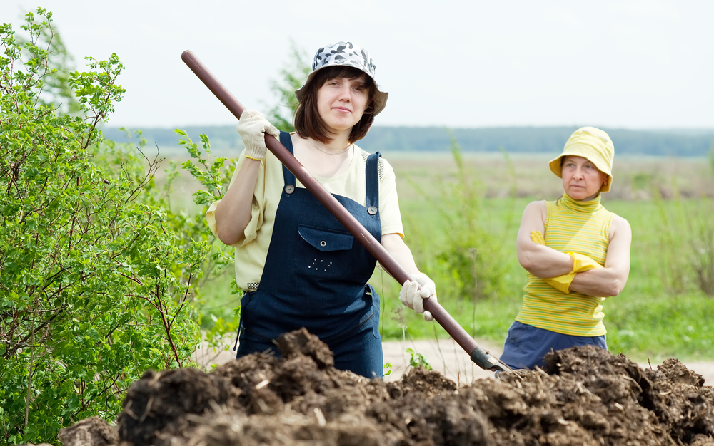 farm wives