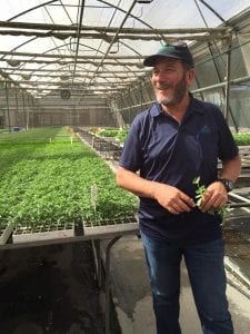 A greenhouse in Israel.