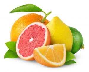 Citrus forecast