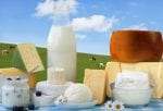 dairy products in glass containers and Cheese