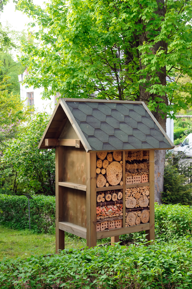 insect hotel in garden
