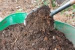 potting mix