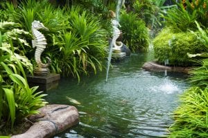Tropical zen garden view with fountain and green plants.