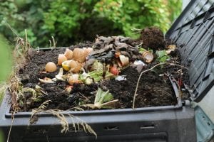 potting mix