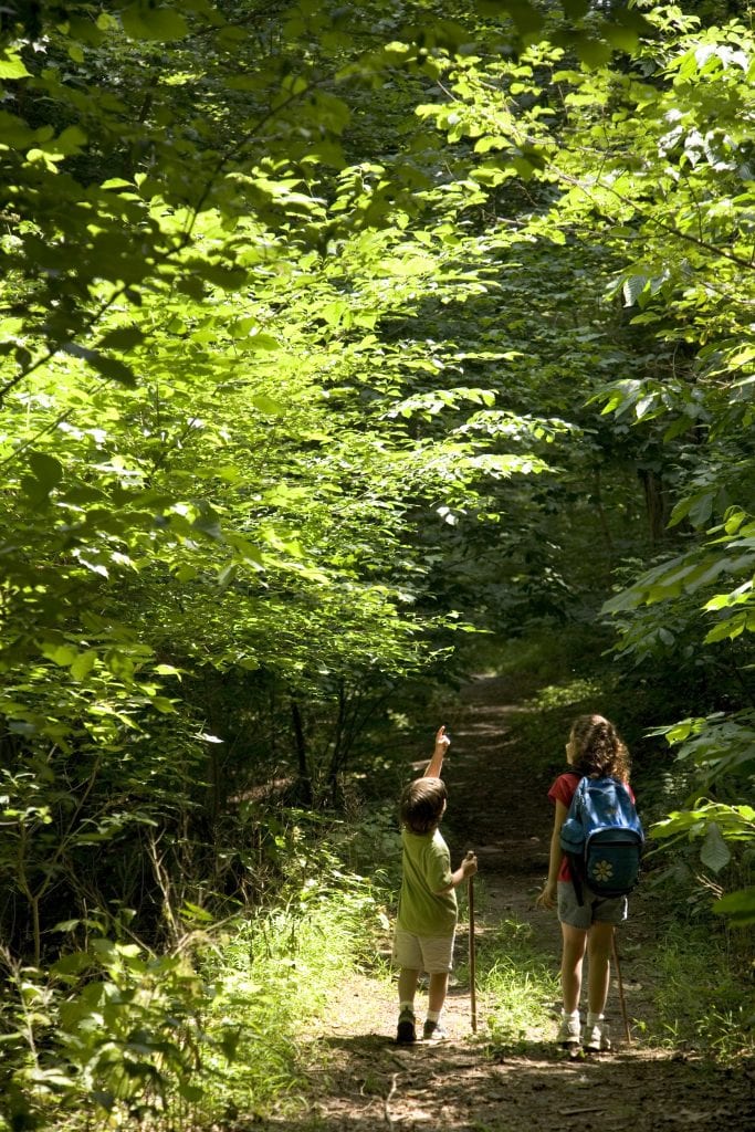 Young boy and girl hiking along sunlit path in woods with walking sticks and backpack; boy is pointing toward something interesting up in trees. This image was used in the "Children and Nature" Conference at the National Conservation Training Center. Credit USFWS photo by Steve Hillebrand