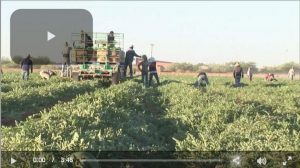 AFBF-Video-Ag-Labor-and-Border Security