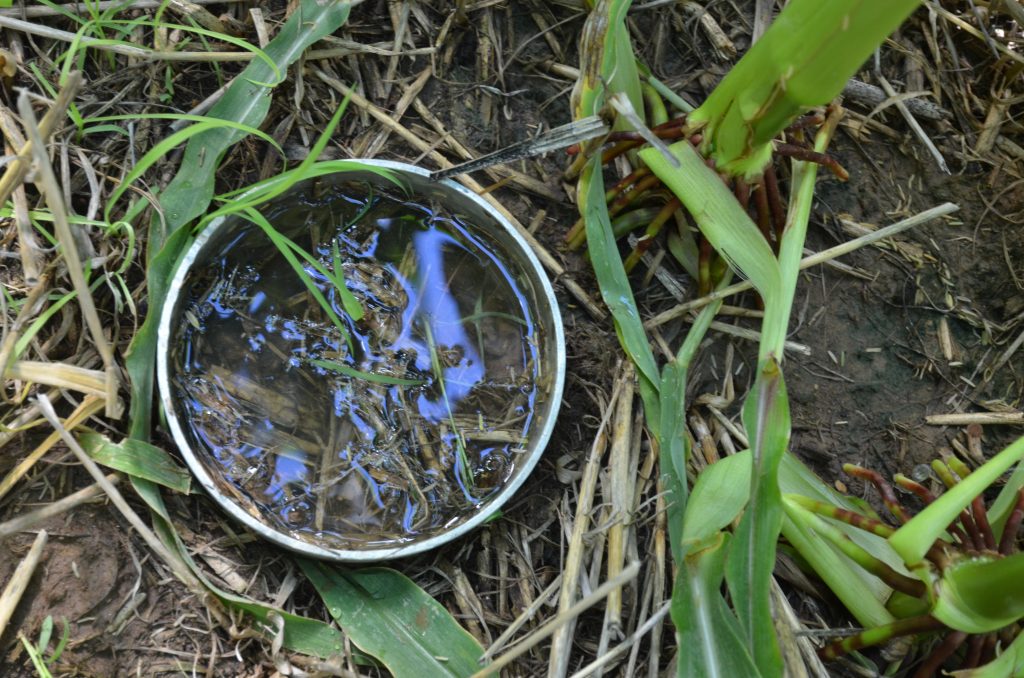 Water Infiltration Demonstration