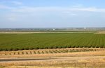 Central California farmland and orchards.
