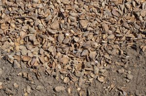 Central Valley Summit