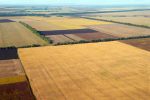 Plowed field and other farmland- data 2
