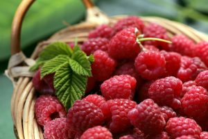 Raspberry-Shulevskyy Volodymyr-shutterstock