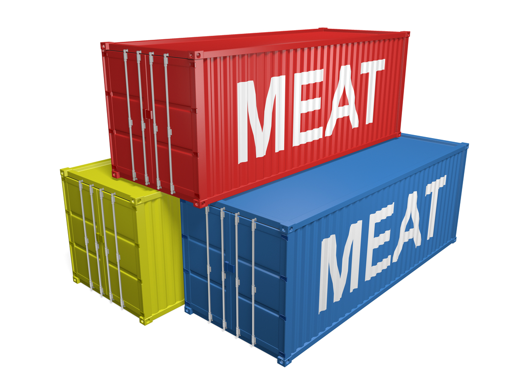 export opportunities