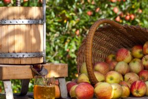 Some Apple gets squeezed to a fresh Apple Juice. Some Apple Trees are behind it.