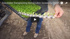 Transplanting System