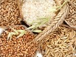 corn-kernel-seed-meal-and-grains-in-bags-2-china