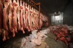 meat imports