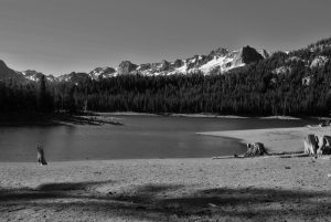 horseshoe-lake-mammoth-lakes-california