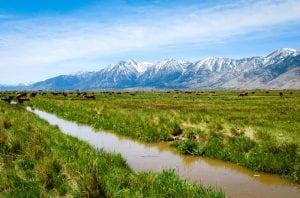 sierra-nevada-mountains snow