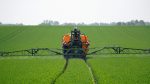 glyphosate epa