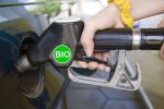 fuel nozzle with biofuel-New York
