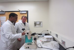 Animal Science Professor, Curtis Youngs, with Borlaug Fellow, Tamrat Degafa Geleto from Ethiopia