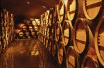 wine-barrels-in-cellar global
