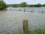 flooded-pasture North Carolina