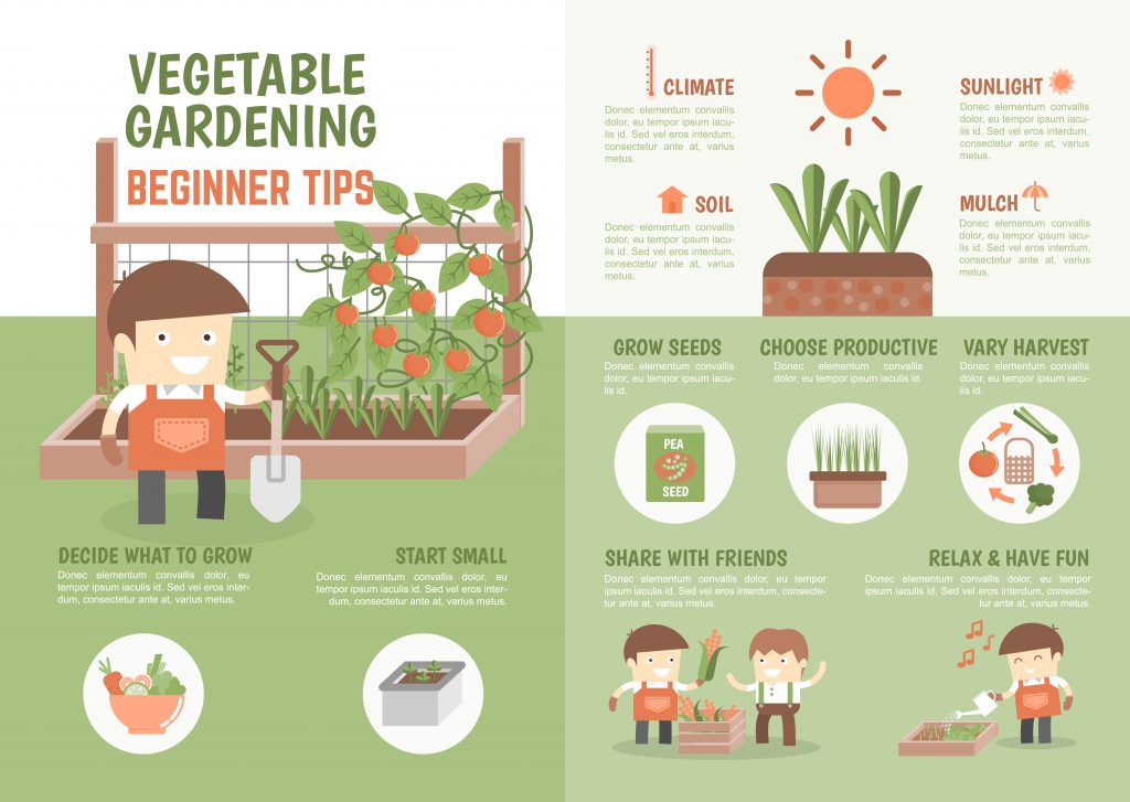 how-to-grow-vegetable-beginner-tips