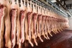 pork-carcasses-hanging-on-hooks-in-a-meat-factory-2 hog