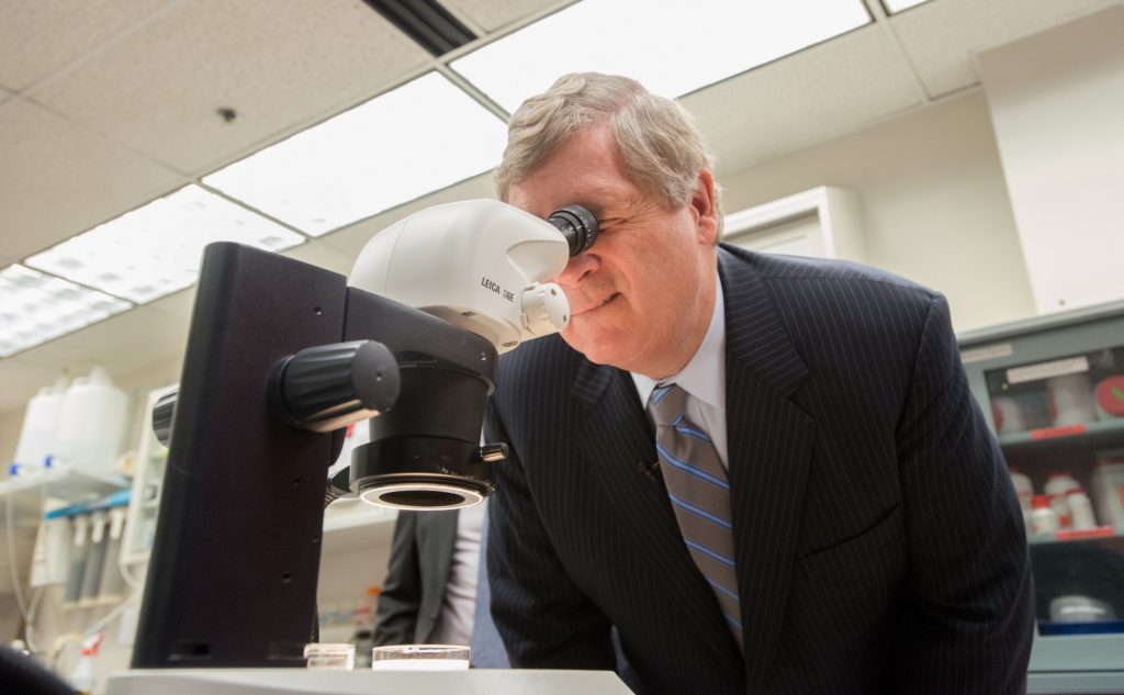 Agriculture Secretary Tom Vilsack looks through a microscope at plant tissues at the USDA Agriculture Research Service (ARS) National Center for Genetic Resources Preservation (NCGRP) Tissue Culture Preparation Laboratory in Ft. Collins, CO.