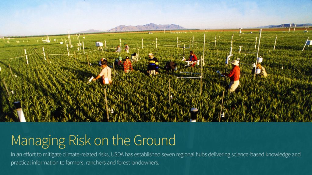 USDA Agricultural Research Service (ARS) scientists measure the growth of wheat surrounded by elevated levels of atmospheric carbon dioxide near Phoenix, AZ. The Free Air Carbon Dioxide Enrichment (FACE) study’s goal is to measure carbon dioxide’s effect on plants. It is the largest experiment of this type ever undertaken.
