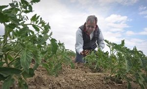 Jesse Sanchez, organic farmer Jesse Sanchez, organic farmer nitrogen
