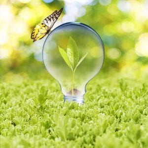 light-bulb-with-plant-growing-inside-on-green-grass-and-butterfly-concept-of-eco-technology
