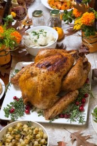 thanksgiving-turkey-4