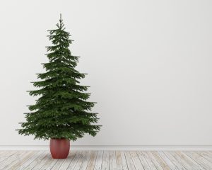 christmas tree