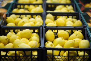 lemons citrus