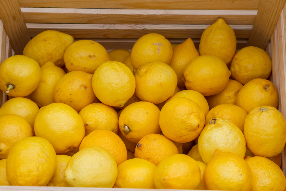 CCM Response to Argentinian Lemon Rule West