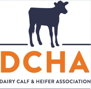dcha-dairy-calf-heifer association