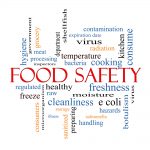 Food Safety Word Cloud Concept with great terms such as hazards, e coli, cooking and more.