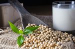 soymilk